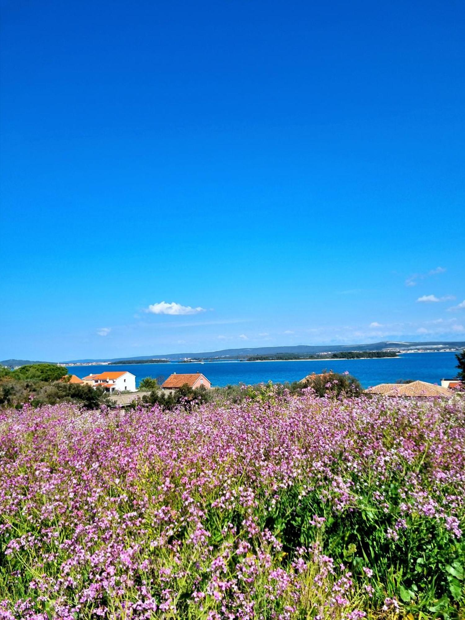 Seaview Sveti Filip i Jakov Exterior foto